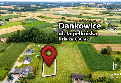 Ponad 8 arów w dankowicach!