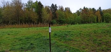Trzy działki w leśnie k/kielna z wz-ką z 2023r.