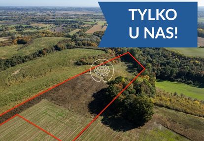 Teren inwestycyjny 2,21 ha z panoramą doliny wisły
