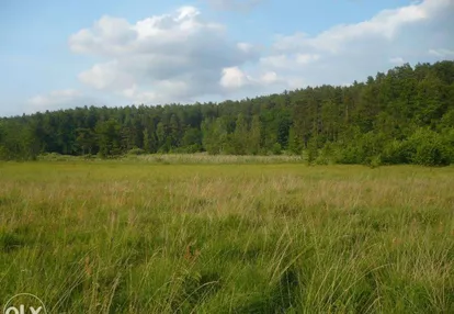 Działka na sprzedaż 7500m2