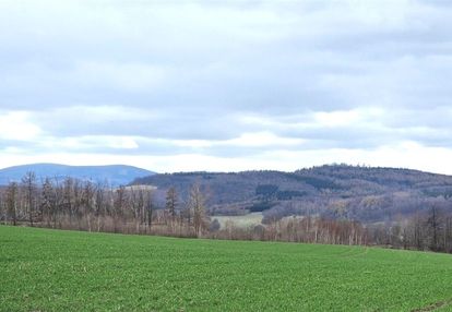 Działki widokowe osada julianów