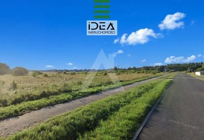 W pełni uzbrojona, 50m mzk, las!