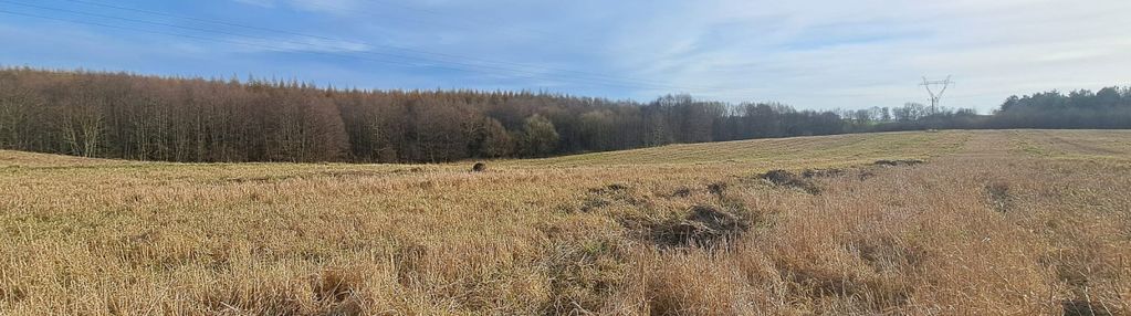 Wyjątkowy teren 3,85 ha | trąbki małe