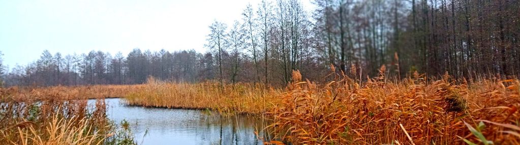 Okazja  działka buowlana blisko łabiszyna