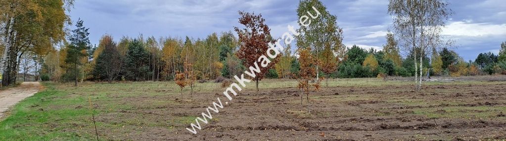 Zboiska gm. radziejowice | mpzp | 1300m2 | s8