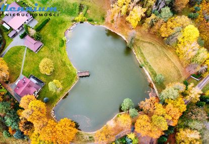 Rezydencja, staw, rzeka w sercu natury pod łodzią