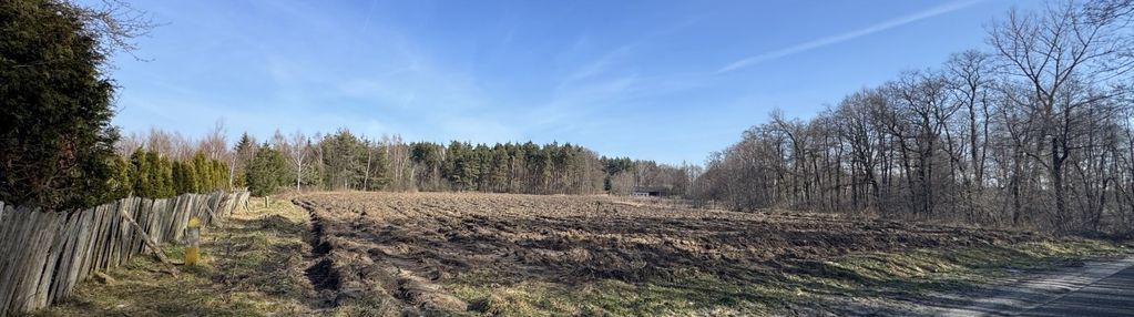 Duża działka z wz blisko lasu