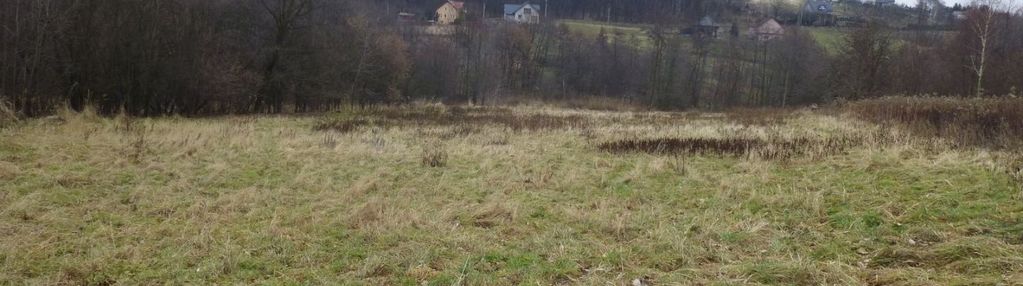 Duża budowlano-rolna działka w sułkowie, 55a