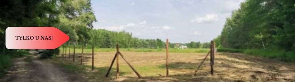 1222 m2 z widokiem na las!