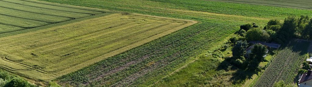 Działka 5900 m² z wz – szopinek/zamość