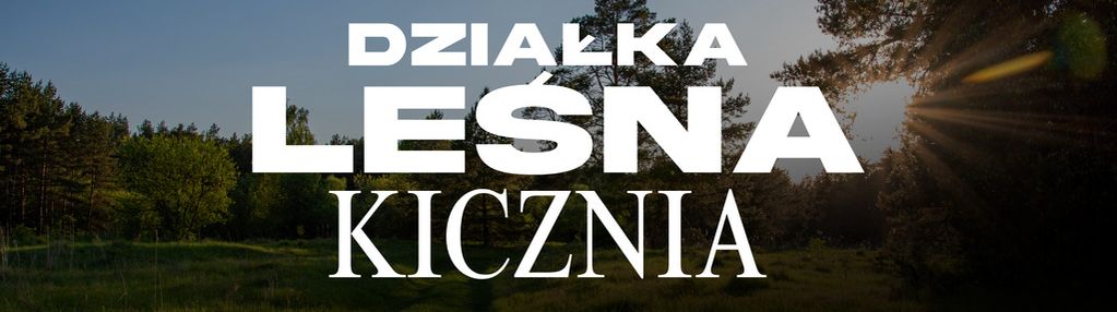 Las bukowy w kiczni 1,2 ha