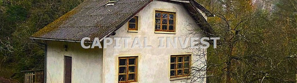 Dom w lesie nad jeziorem