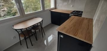 Teofilow 2 pokojowe do wynajęcia od zaraz