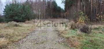 Duża działka w lesie - gmina puszcza mariańska