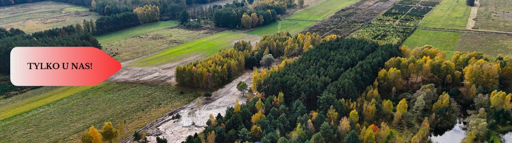 Działka z własnym lasem pod łodzią!