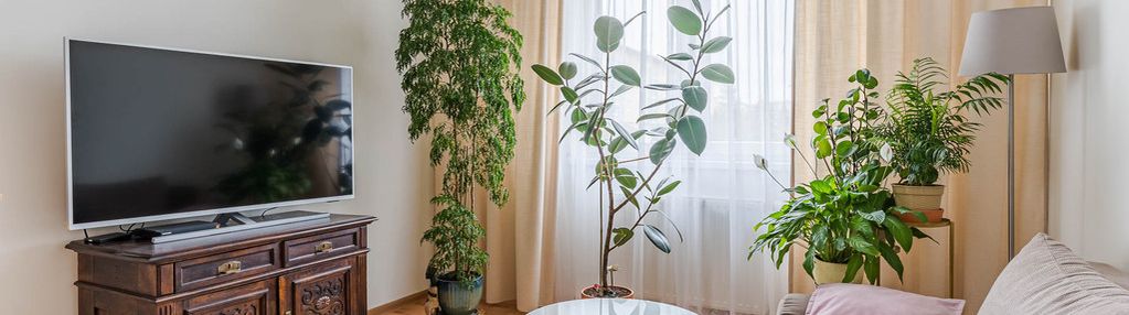 2-pok. z osobną kuchnią, balkon + piwnica i garaż