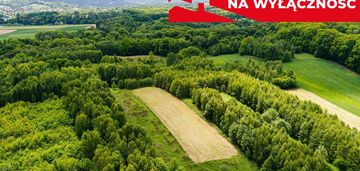 3 działki rolne na sprzedaż | skrzyszów | 1,56 ha