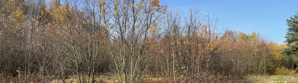 Działka 905 m² słupno, prąd, pozwolenie na budowę.