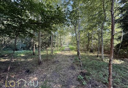 Działka 2 500 m² z domem i lasem – myszków