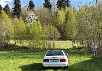 Widokowa działka pod lasem w jaworzu!