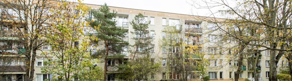 Tak dla zwierząt, 3 oddzielne pok, widna kuchnia