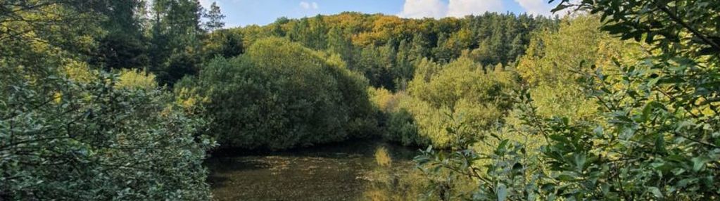 Piękna działka z "oczkiem", w sąsiedztwie zabudowa