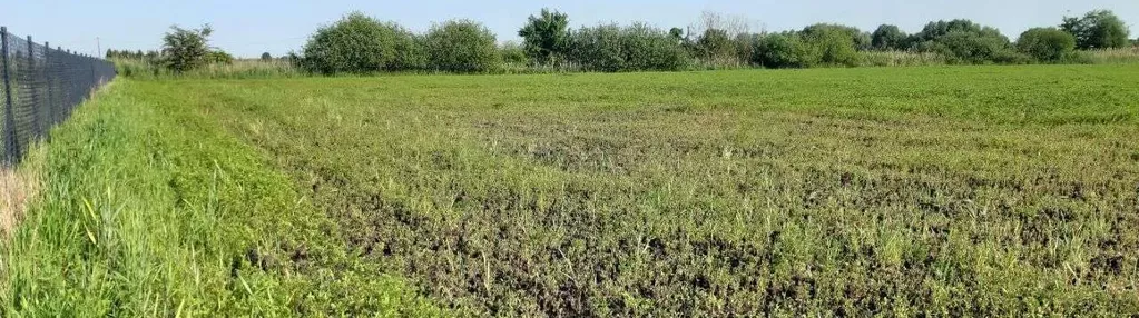 Działka budowlana, Deszczno ul. Wietrzna