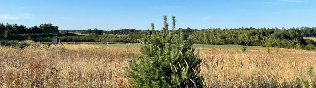 Działki budowlane -świetna lokalizacja margonin !!