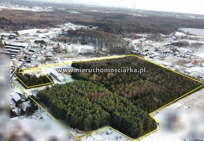Gospodarstwo z własnym lasem/siedlisko - gorzyce