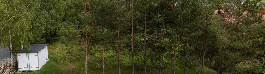 Pozwolenie na budowę | projekt | media | zalesiona
