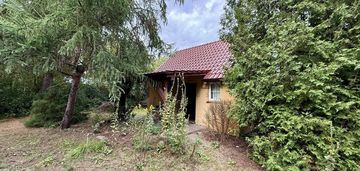 Działka rekreacyjna rod - kajetany