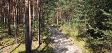 Działka w lesie - władysławów