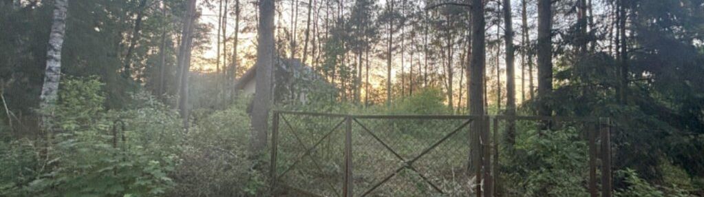 Działka budowlana w lesie blisko rzeki