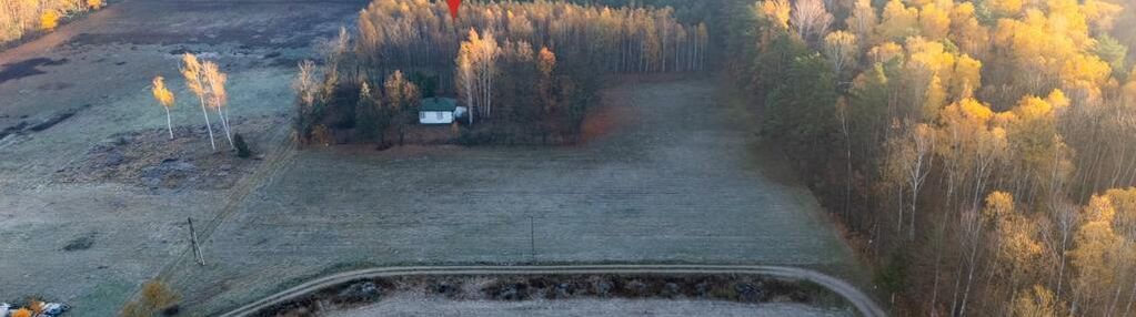 4 hektary wolności pod warszawą, ostrowik