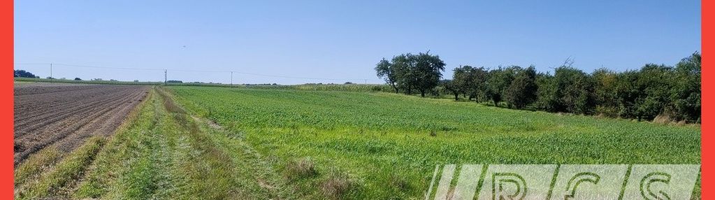 Super działka z pozwoleniem na budowę domu