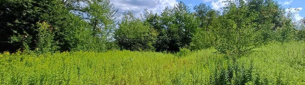 Atrakcyjna działka nad jeziorem 18ar (rożnów)