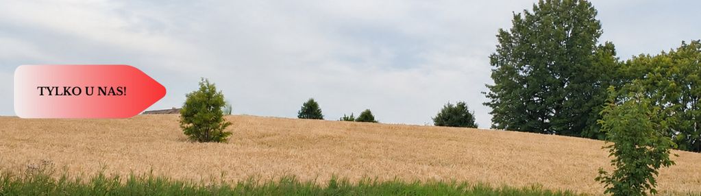 Duża działka inwestycyjna, możliwość zakupu dwóch