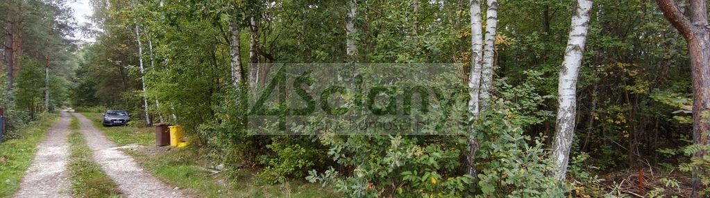 Inwestycyjna działka 9031 m², wycinki osowskie