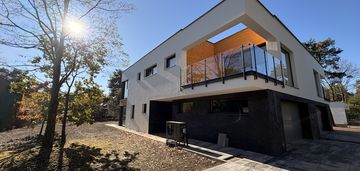 Radość - jeden z dwóch bliźniaków - duża działka