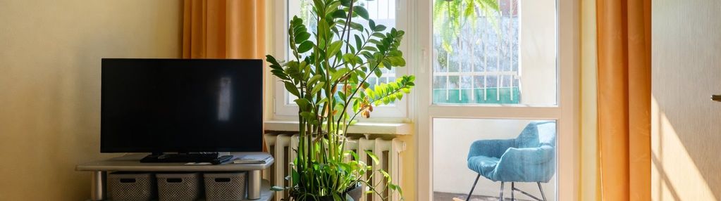 2 pokojowe z balkonem. obok skytower