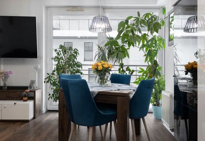 Przestronne, 3-pokojowe mieszkanie na jasieniu!