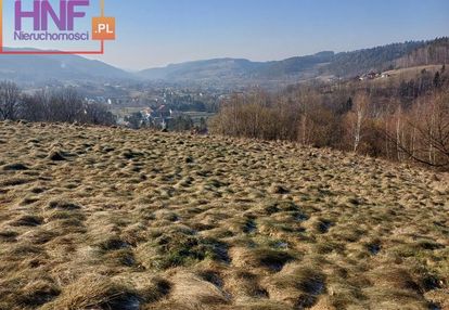 Działka w królowej górnej 60ar