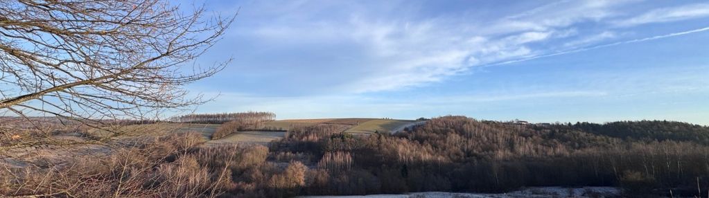 Miejsce, w którym nikt cię nie znajdzie - twój las