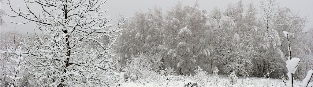 Budowlana działka w świątnikach górnych