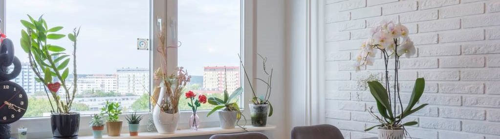 * 3 oddzielne pokoje *kuchnia z jadalnią* antoniuk