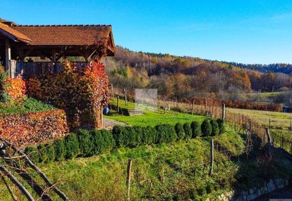 Dom w ssz + winnica | pod wynajem lub prywatnie