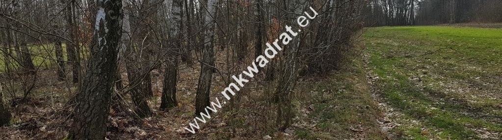 Borszyce gm.kowiesy działka 7 283 m