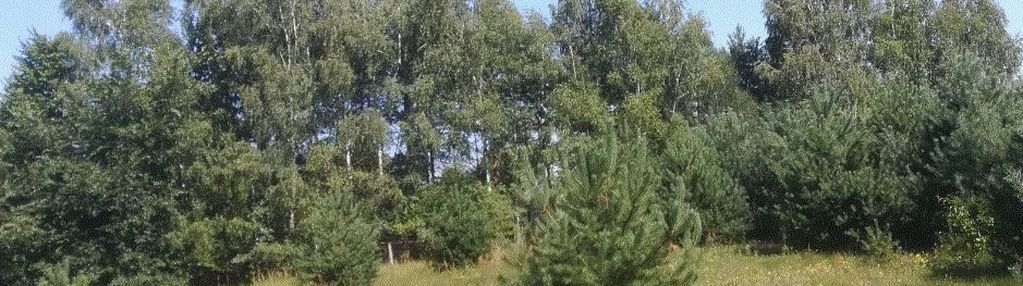 Działka 2692m2 w otoczeniu lasu , blisko jeziora!