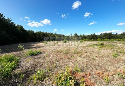 Działka budowlana w otulinie lasu