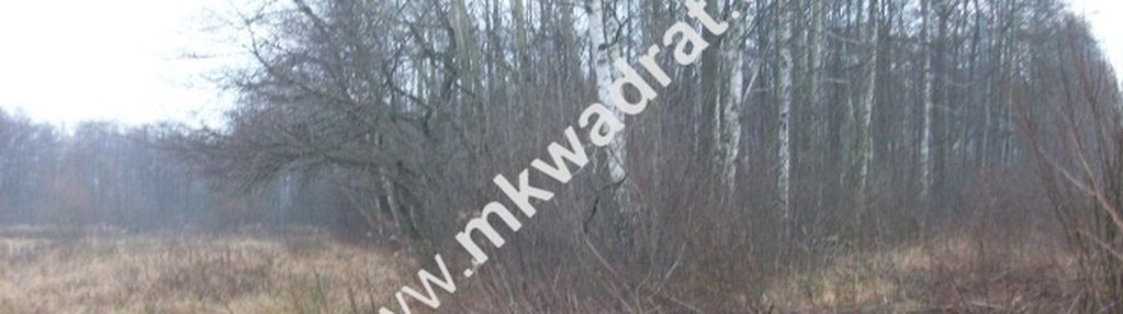 Działka leśna 8660 m² piotrkowice
